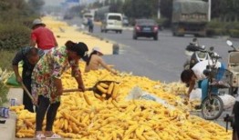 社会热点话题事件在哪里找 体育圈的天花板 爆料网吃瓜黑料反差入口,体育圈天花板、爆料网黑料与反差入口的交织